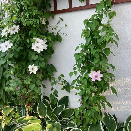 Casa Blanca Apartment Jastarnia Luaran gambar